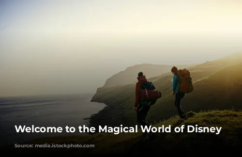 Welcome to the Magical World of Disney Parks!