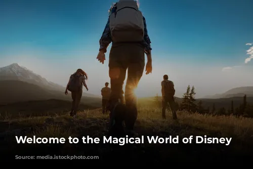 Welcome to the Magical World of Disney Parks!