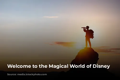 Welcome to the Magical World of Disney Parks!