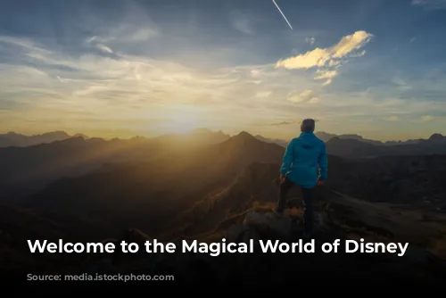 Welcome to the Magical World of Disney Parks!