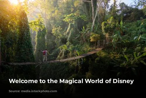 Welcome to the Magical World of Disney Parks!