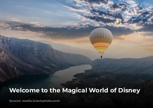 Welcome to the Magical World of Disney Parks!