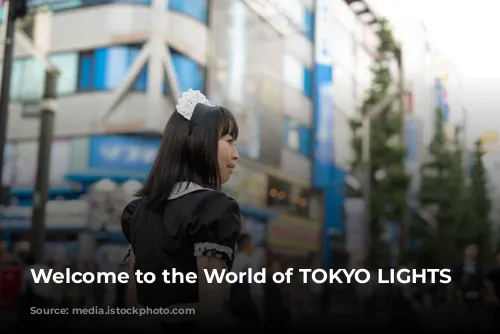 Welcome to the World of TOKYO LIGHTS 2024!