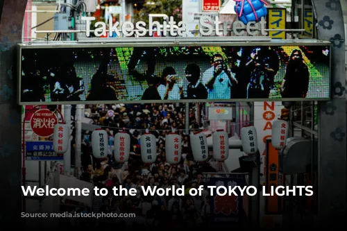 Welcome to the World of TOKYO LIGHTS 2024!