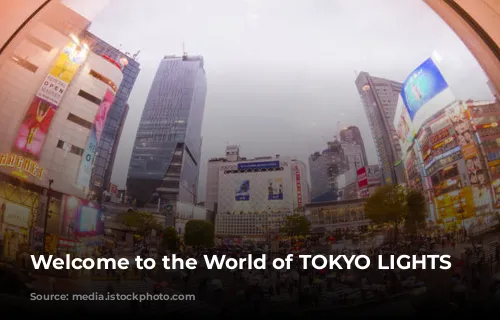 Welcome to the World of TOKYO LIGHTS 2024!