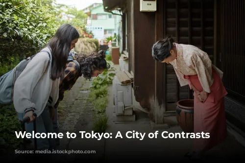 Welcome to Tokyo: A City of Contrasts