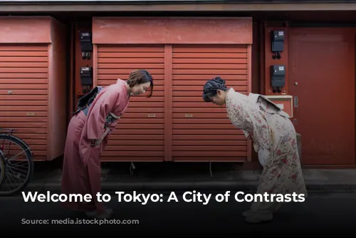 Welcome to Tokyo: A City of Contrasts