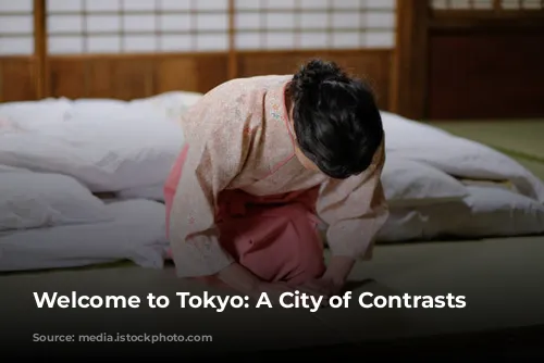 Welcome to Tokyo: A City of Contrasts