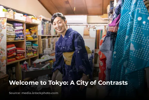 Welcome to Tokyo: A City of Contrasts