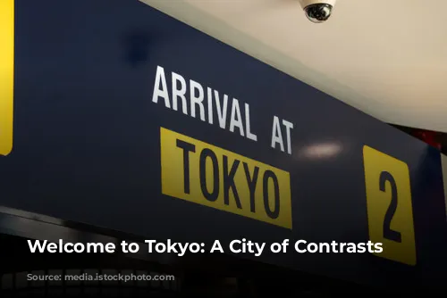 Welcome to Tokyo: A City of Contrasts