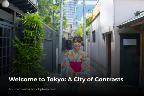 Welcome to Tokyo: A City of Contrasts