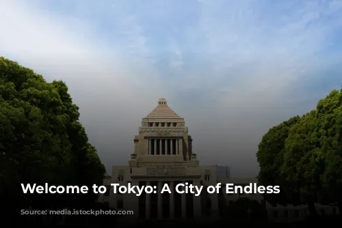 Welcome to Tokyo: A City of Endless Possibilities