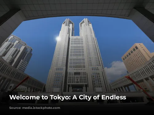 Welcome to Tokyo: A City of Endless Possibilities