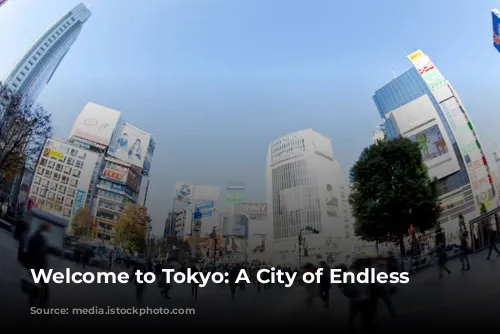 Welcome to Tokyo: A City of Endless Possibilities