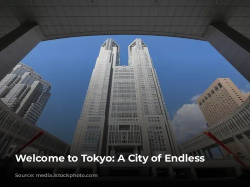 Welcome to Tokyo: A City of Endless Possibilities