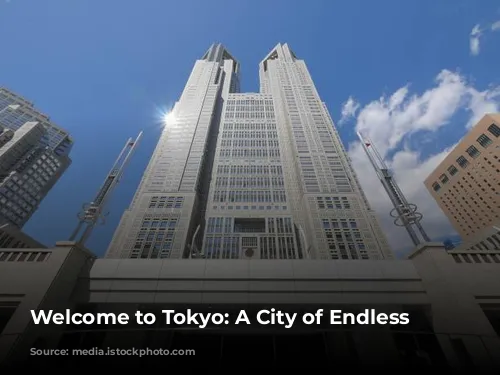 Welcome to Tokyo: A City of Endless Possibilities