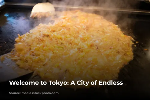 Welcome to Tokyo: A City of Endless Possibilities