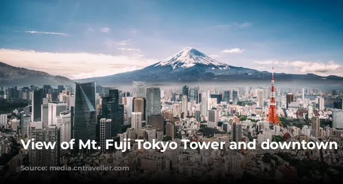 View of Mt. Fuji Tokyo Tower and downtown Tokyo