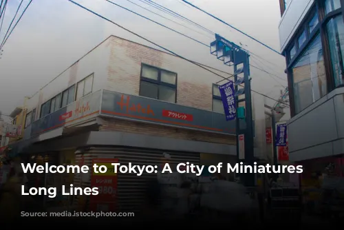 Welcome to Tokyo: A City of Miniatures and Long Lines