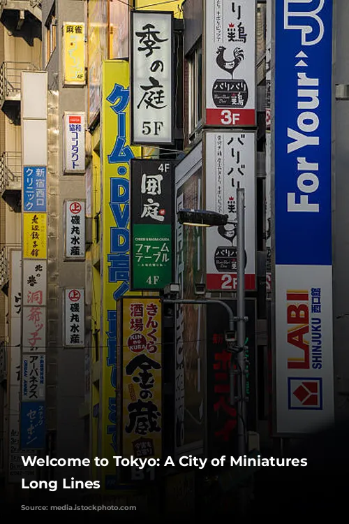 Welcome to Tokyo: A City of Miniatures and Long Lines