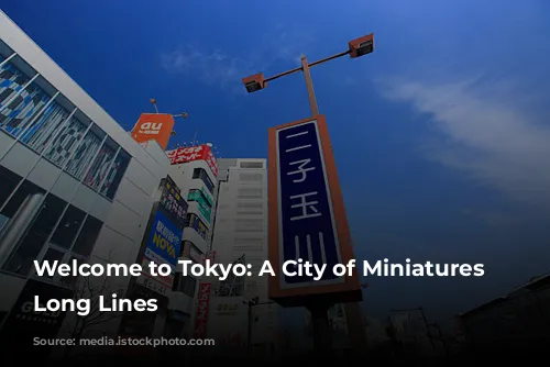 Welcome to Tokyo: A City of Miniatures and Long Lines