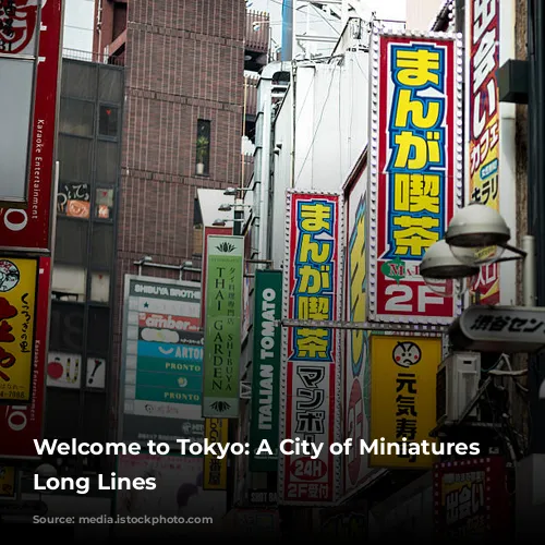 Welcome to Tokyo: A City of Miniatures and Long Lines