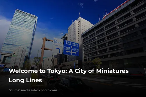 Welcome to Tokyo: A City of Miniatures and Long Lines