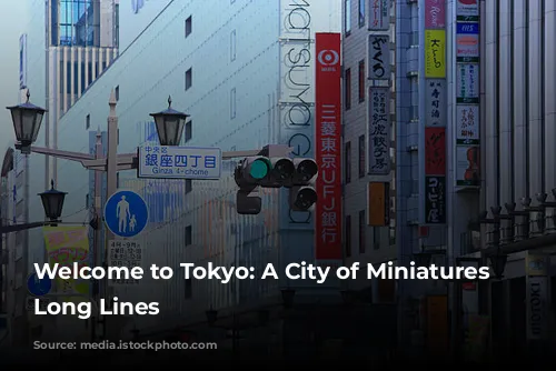 Welcome to Tokyo: A City of Miniatures and Long Lines