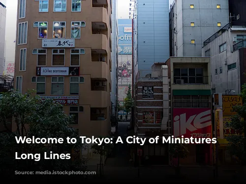 Welcome to Tokyo: A City of Miniatures and Long Lines