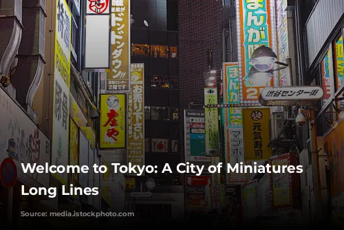 Welcome to Tokyo: A City of Miniatures and Long Lines