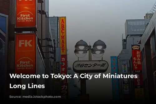 Welcome to Tokyo: A City of Miniatures and Long Lines