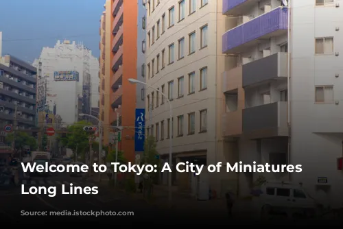 Welcome to Tokyo: A City of Miniatures and Long Lines