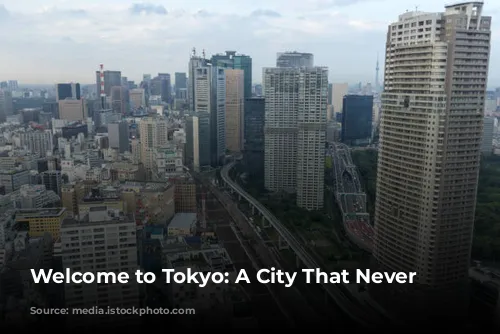 Welcome to Tokyo: A City That Never Sleeps!