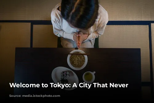 Welcome to Tokyo: A City That Never Sleeps!