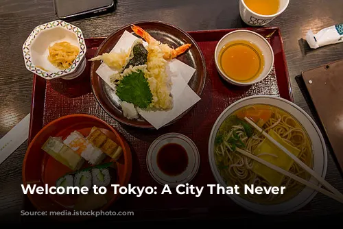 Welcome to Tokyo: A City That Never Sleeps!