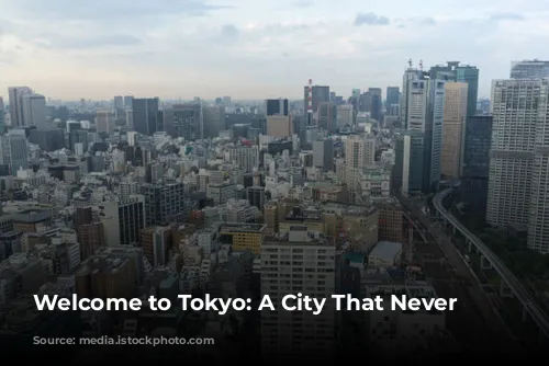 Welcome to Tokyo: A City That Never Sleeps!