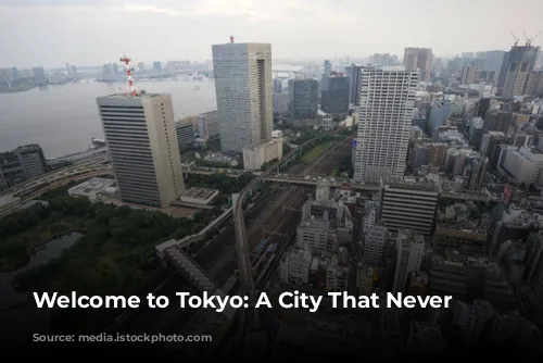 Welcome to Tokyo: A City That Never Sleeps!