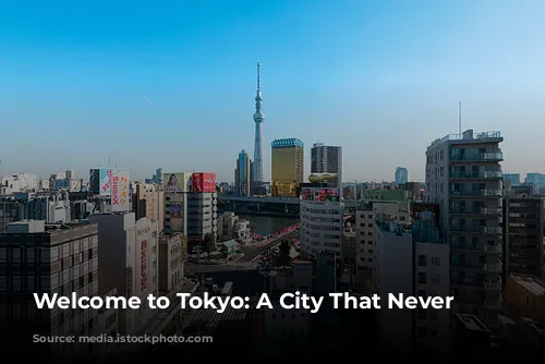 Welcome to Tokyo: A City That Never Sleeps!