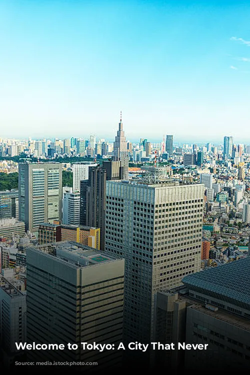 Welcome to Tokyo: A City That Never Sleeps!