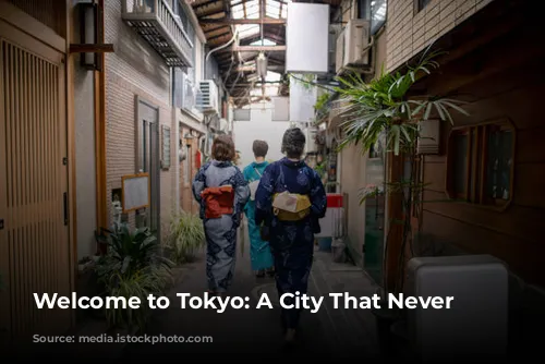 Welcome to Tokyo: A City That Never Sleeps!