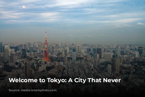 Welcome to Tokyo: A City That Never Sleeps!