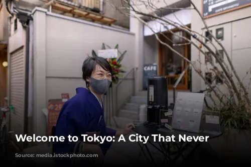 Welcome to Tokyo: A City That Never Sleeps!