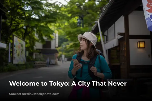 Welcome to Tokyo: A City That Never Sleeps!