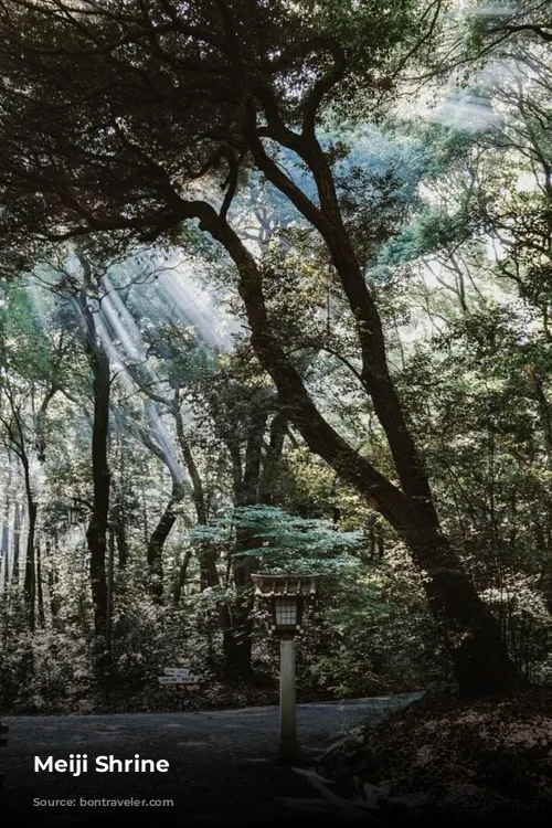 Meiji Shrine