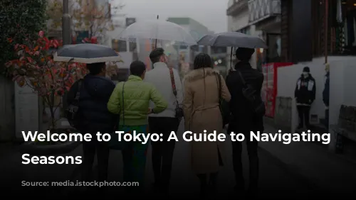 Welcome to Tokyo: A Guide to Navigating the Seasons