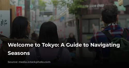 Welcome to Tokyo: A Guide to Navigating the Seasons