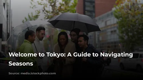 Welcome to Tokyo: A Guide to Navigating the Seasons