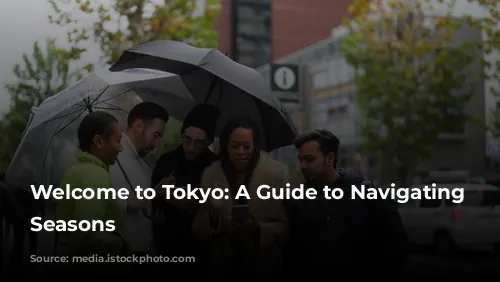 Welcome to Tokyo: A Guide to Navigating the Seasons