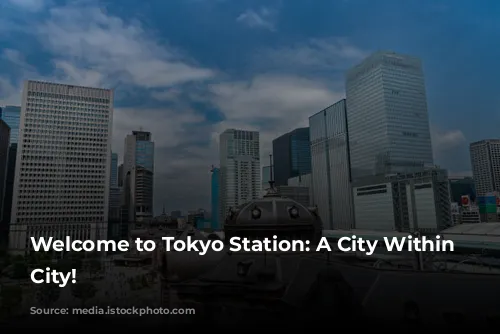 Welcome to Tokyo Station: A City Within a City!