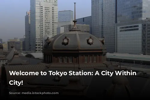 Welcome to Tokyo Station: A City Within a City!